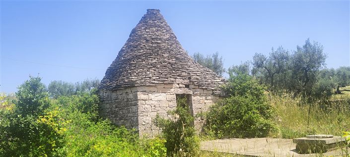 Image No.8-Propriété de 1 chambre à vendre à Alberobello