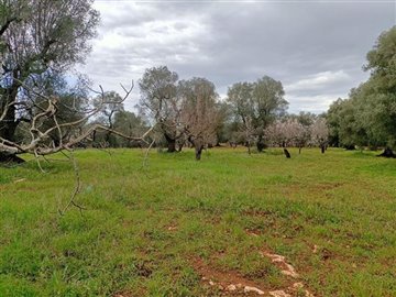 img20230308113355-copy