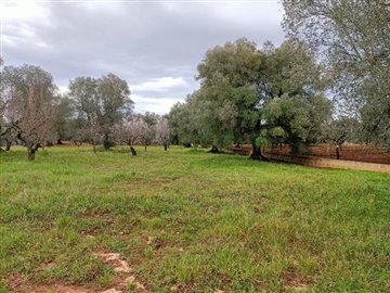 img20230308113357-copy