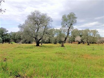 img20230308113548-copy