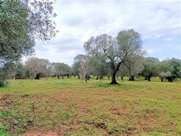 img20230308113556-copy