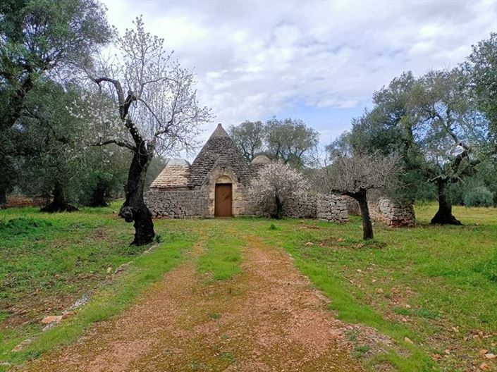 Image No.2-Propriété de 1 chambre à vendre à Ostuni