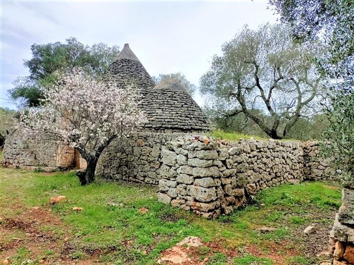 Image No.4-Propriété de 1 chambre à vendre à Ostuni