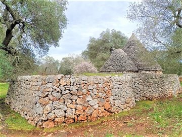 img20230308113624-copy