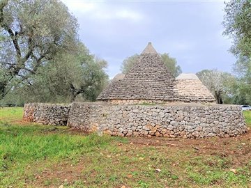 img20230308113654-copy