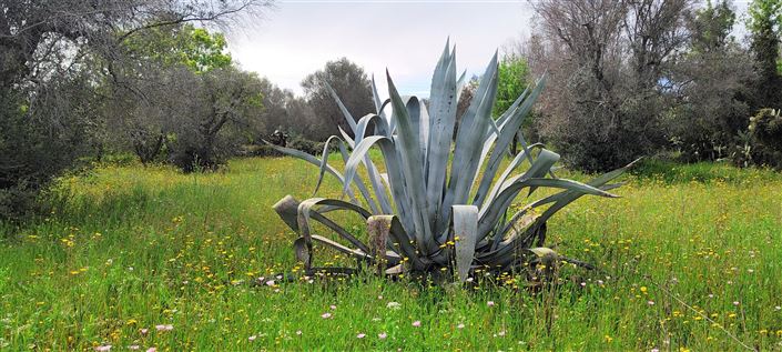 Image No.14-Propriété de 1 chambre à vendre à Carovigno
