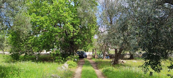 Image No.17-Propriété de 1 chambre à vendre à Carovigno