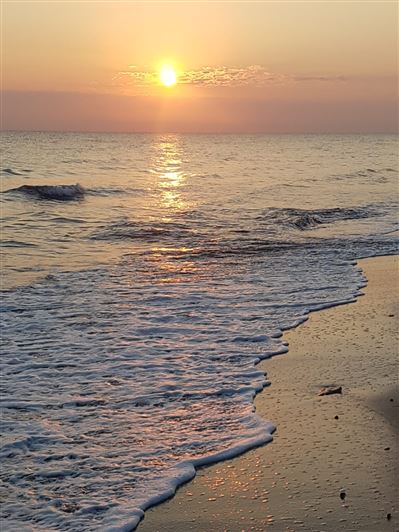 Image No.28-Propriété de 1 chambre à vendre à Carovigno