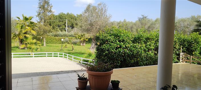 Image No.26-Propriété de 3 chambres à vendre à Mesagne