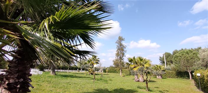 Image No.35-Propriété de 3 chambres à vendre à Mesagne