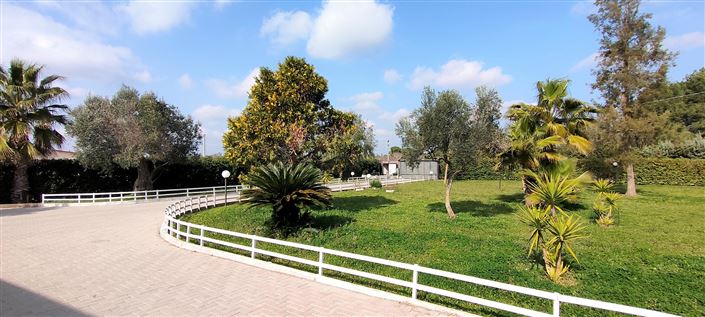 Image No.36-Propriété de 3 chambres à vendre à Mesagne