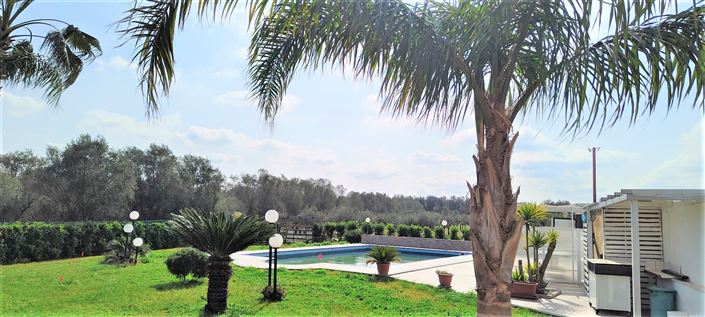 Image No.4-Propriété de 3 chambres à vendre à Mesagne