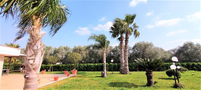 Image No.38-Propriété de 3 chambres à vendre à Mesagne