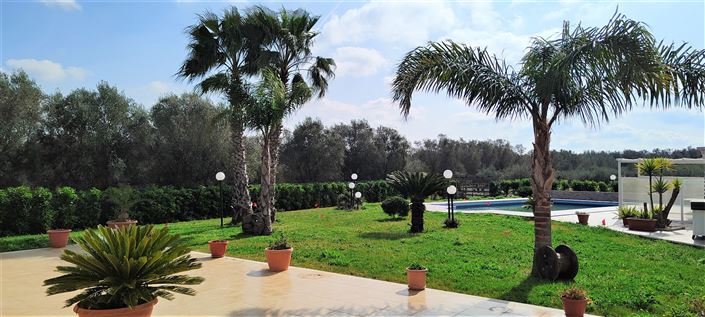 Image No.5-Propriété de 3 chambres à vendre à Mesagne