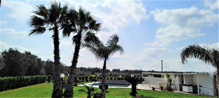 Image No.6-Propriété de 3 chambres à vendre à Mesagne