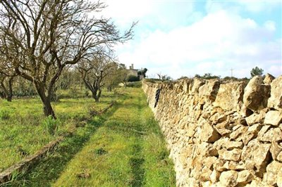 138557lamiaostuniimg080000