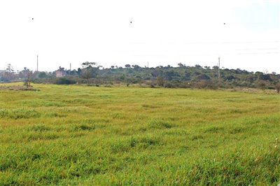 138557lamiaostuniimg090000