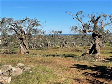 138557seaviewsv2img020000