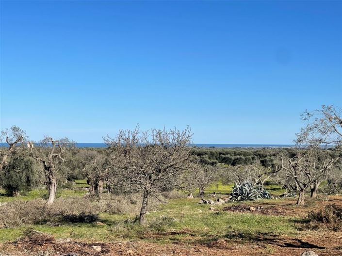 Image No.6-Propriété à vendre à San Vito dei Normanni