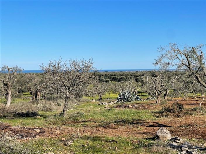 Image No.7-Propriété à vendre à San Vito dei Normanni