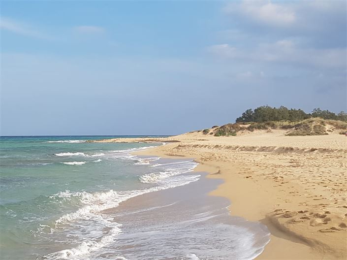 Image No.18-Propriété à vendre à San Vito dei Normanni