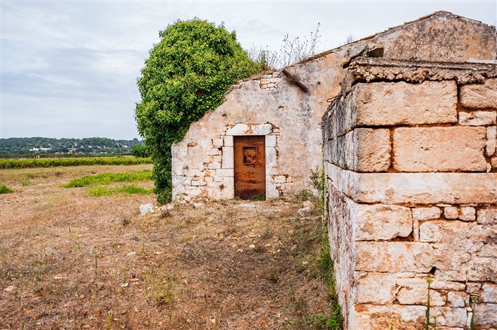 Image No.11-Propriété de 1 chambre à vendre à Ceglie Messapica