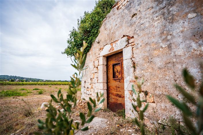 Image No.12-Propriété de 1 chambre à vendre à Ceglie Messapica