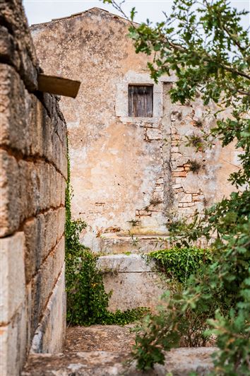 Image No.13-Propriété de 1 chambre à vendre à Ceglie Messapica