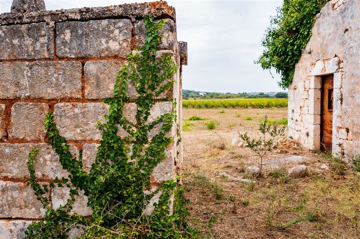 Image No.18-Propriété de 1 chambre à vendre à Ceglie Messapica