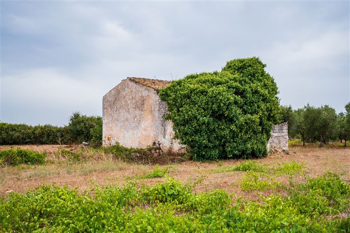 Image No.19-Propriété de 1 chambre à vendre à Ceglie Messapica