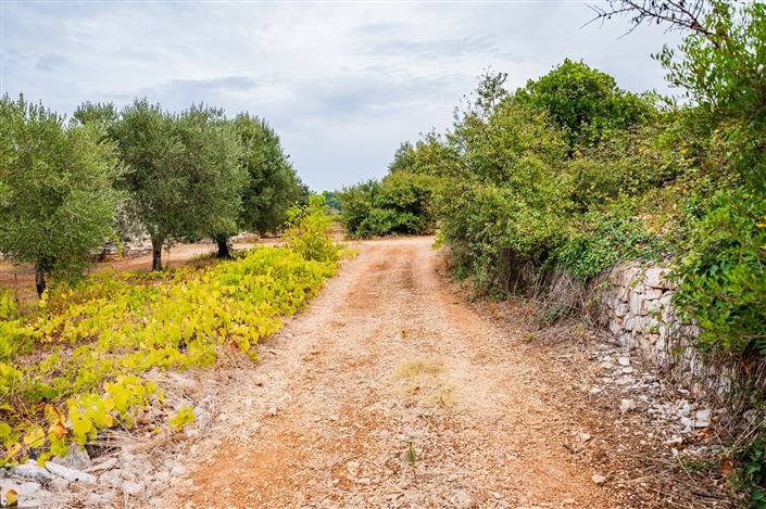 Image No.20-Propriété de 1 chambre à vendre à Ceglie Messapica
