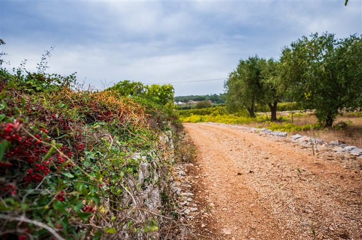 Image No.21-Propriété de 1 chambre à vendre à Ceglie Messapica