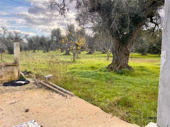 Image No.14-2 Bed Property for sale