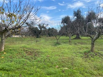 138557vilaaimperiaimg040000