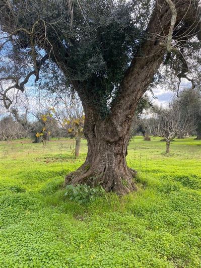 Image No.17-2 Bed Property for sale