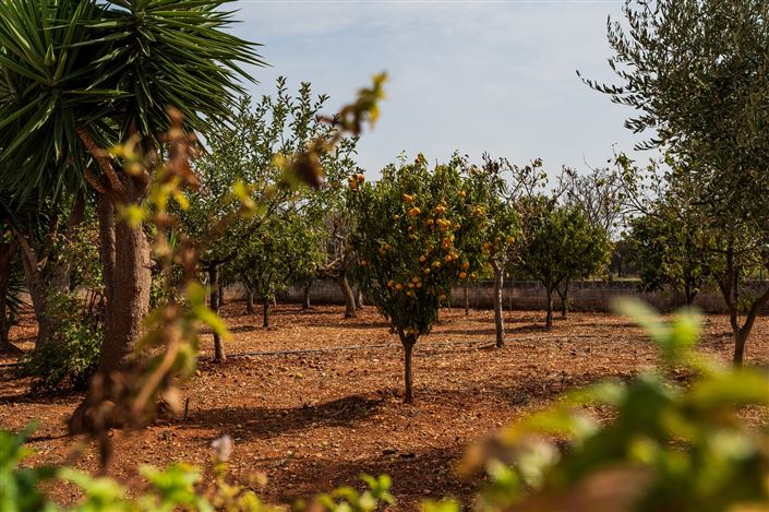 Image No.37-6 Bed Villa for sale