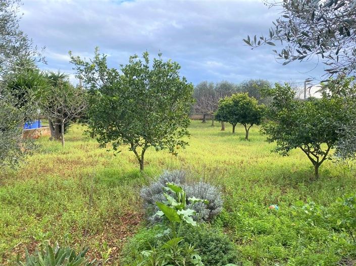 Image No.38-6 Bed Villa for sale