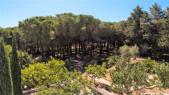 Image No.23-Propriété de 4 chambres à vendre à Martina Franca