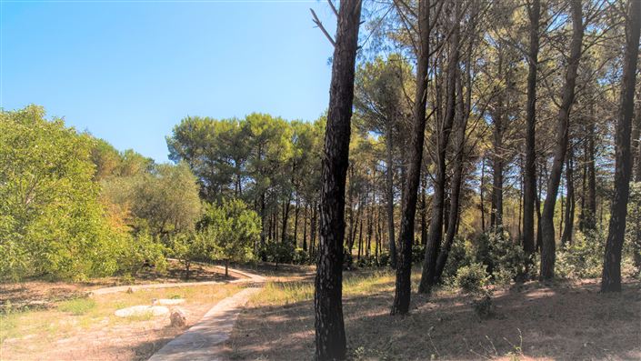 Image No.25-Propriété de 4 chambres à vendre à Martina Franca