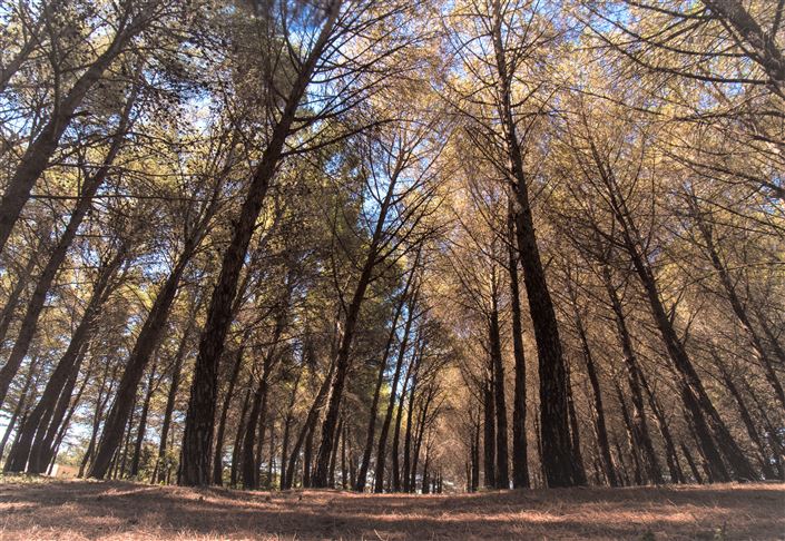 Image No.27-Propriété de 4 chambres à vendre à Martina Franca