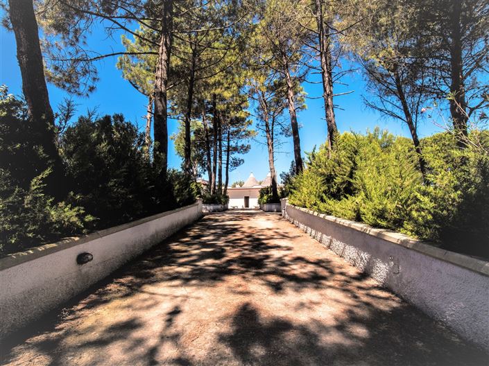 Image No.28-Propriété de 4 chambres à vendre à Martina Franca