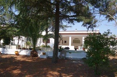 138557imposivepropertyimg030000