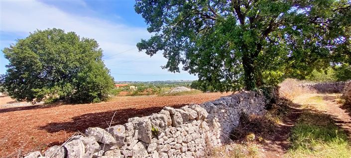 Image No.12-Propriété de 8 chambres à vendre à Cisternino