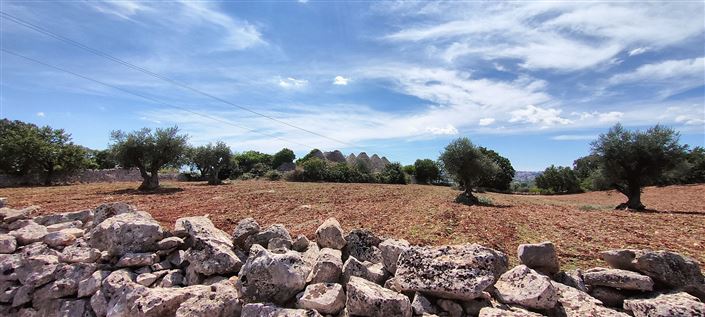 Image No.14-Propriété de 8 chambres à vendre à Cisternino