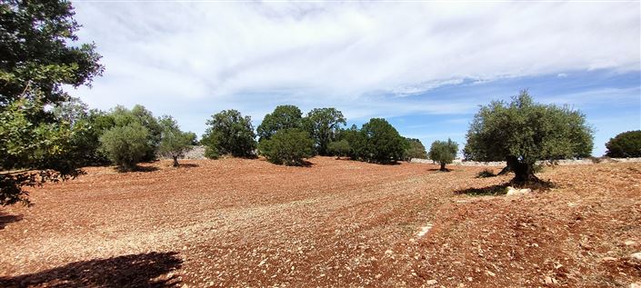 Image No.15-Propriété de 8 chambres à vendre à Cisternino