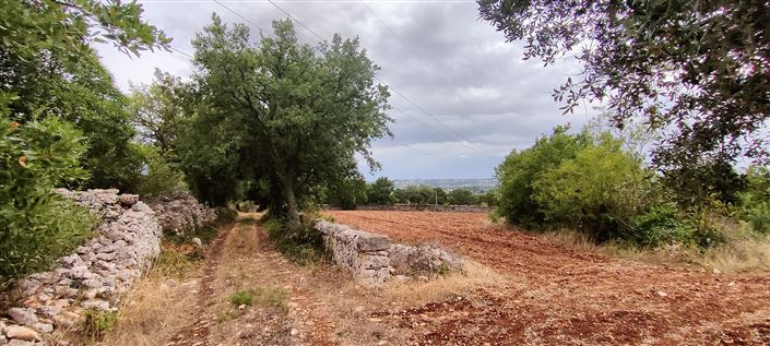 Image No.17-Propriété de 8 chambres à vendre à Cisternino