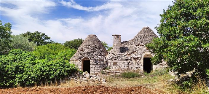 Image No.4-Propriété de 8 chambres à vendre à Cisternino