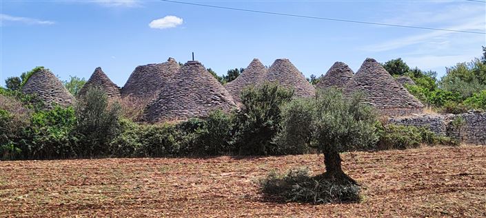 Image No.5-Propriété de 8 chambres à vendre à Cisternino