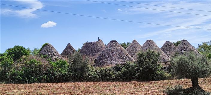 Image No.6-Propriété de 8 chambres à vendre à Cisternino