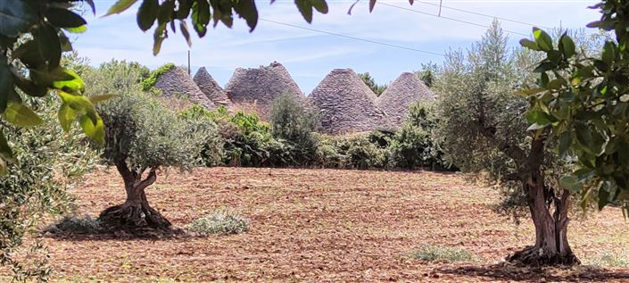 Image No.7-Propriété de 8 chambres à vendre à Cisternino